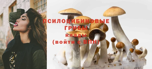 сатива Белоозёрский