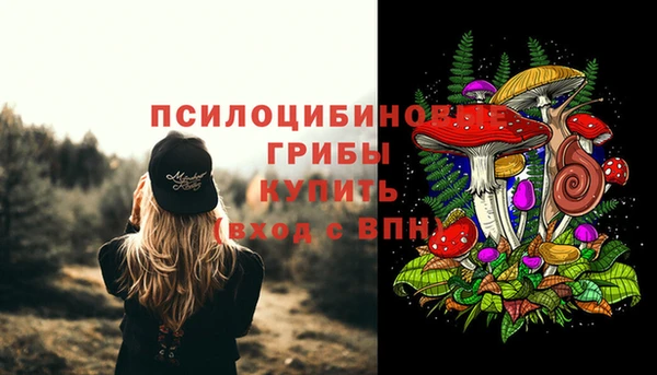 тгк Иноземцево