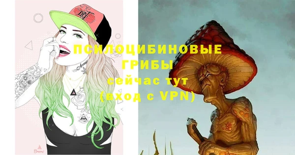 стафф Александровское