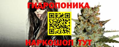 СК Будённовск