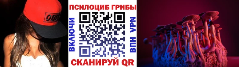 хочу   Кисловодск  Галлюциногенные грибы мицелий 