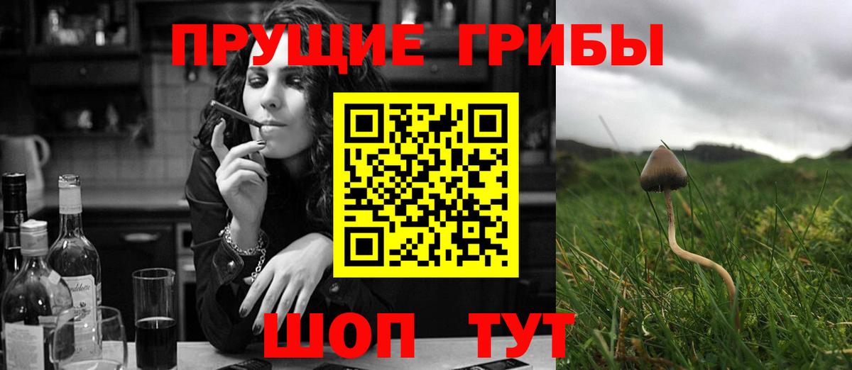 где можно купить наркотик  Псилоцибиновые грибы Magic Shrooms  Галлюциногенные грибы Cubensis  Вход с VPN  Кисловодск 
